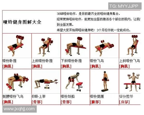 提升女性力量的女士哑铃锻炼方法与技巧全攻略