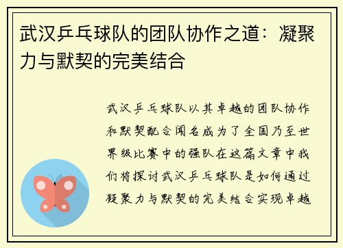 武汉乒乓球队的团队协作之道：凝聚力与默契的完美结合